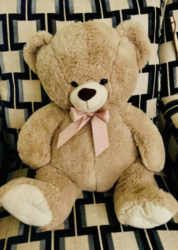 Oh Sweet Teddy *New